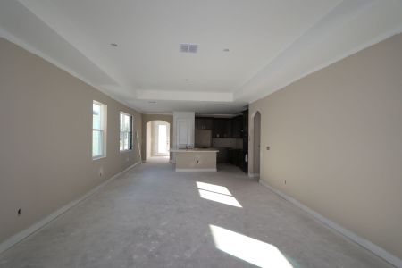 New construction Single-Family house 20339 Oriana Loop, Land O' Lakes, FL 34638 Newport II- photo 91 91