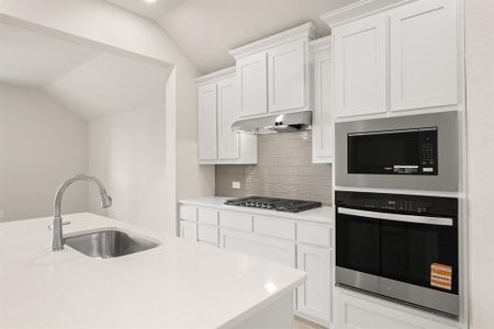 New construction Single-Family house 1101 Foxtail Dr, Justin, TX 76247 plan Cambridge - image 5