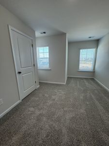 New construction Single-Family house 247 Sunny Hill Dr, Blythewood, SC 29016 plan Henderson - image 15