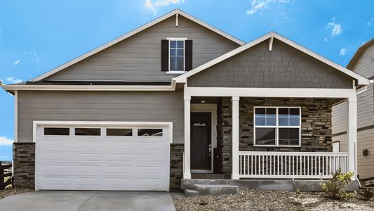 New construction Single-Family house 13978 Beebalm Trl, Parker, CO 80134 plan Chatham - image