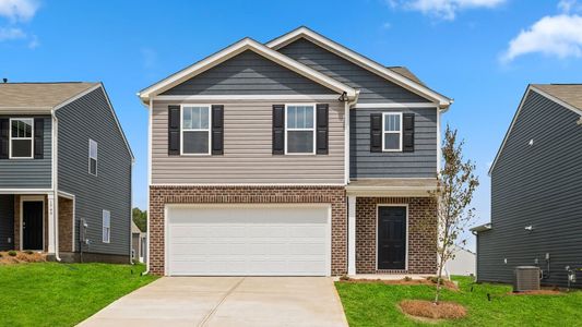 New construction Single-Family house 515 Cordgrass Rd, Fountain Inn, SC 29644 plan Robie - image