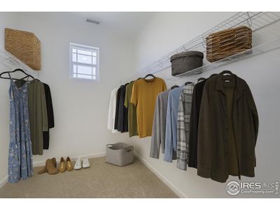 New construction Single-Family house 1826 Cord Grass Dr Ft, Fort Collins, CO 80524 - image 18