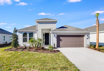 New construction Single-Family house 11 Armoyan Dr, Palm Coast, FL 32137 null- photo 0