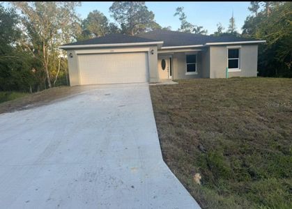 New construction Single-Family house 225 Starling Ct, Kissimmee, FL 34759 null- photo 0