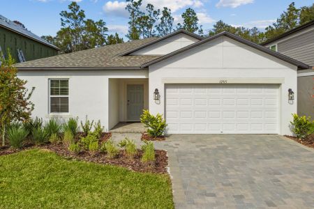 New construction Single-Family house 12915 Castle Oaks Dr, Hudson, FL 34669 plan Sentinel - image