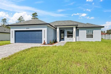 New construction Single-Family house 3370 Sw 129Th Lp, Ocala, FL 34473 - image