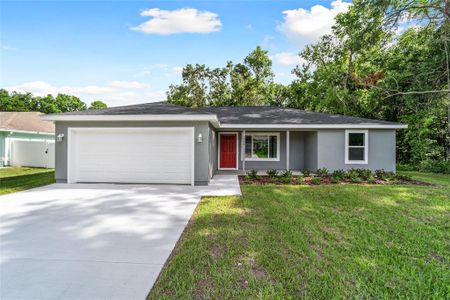 New construction Single-Family house 25 Fisher Trce, Ocklawaha, FL 32179 Lynnette- photo 0