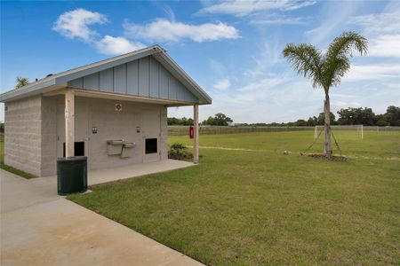 New construction Townhouse house 2733 Flushing Dr, Apopka, FL 32703 Ibis- photo 25 25