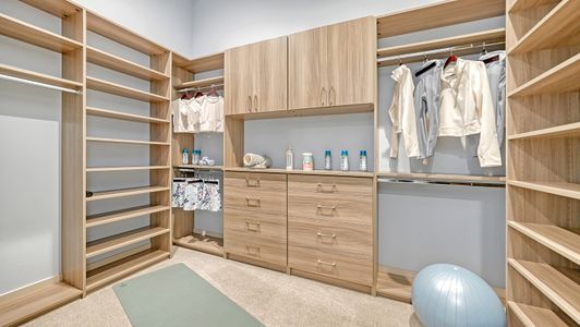 New construction Single-Family house 17809 Signature Pl, Bradenton, FL 34202 plan Palm Bay 2 - image 9