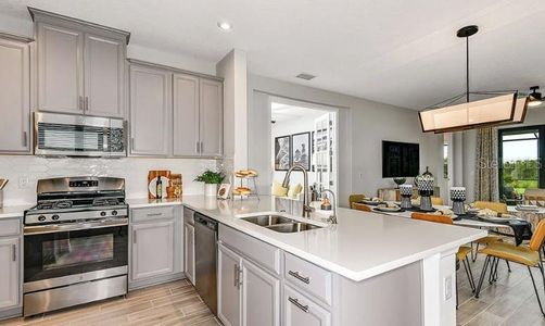 New construction Single-Family house 13407 Commons Ave, Parrish, FL 34219 plan Saint Vincent - image