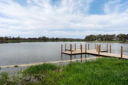 New construction Single-Family house 202 Pigeon River Rd, Kyle, TX 78640 Saffron- photo 29 29