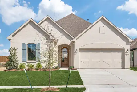 New construction Single-Family house 274 Observation Dr N, Aledo, TX 76008 - image
