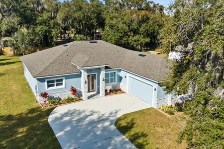 New construction Single-Family house 319 Water Shore Dr, Leesburg, FL 34748 - image