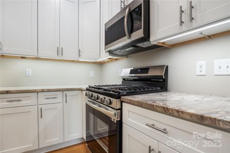 New construction Single-Family house 48 Creekside View Dr, Asheville, NC 28804 - image 7