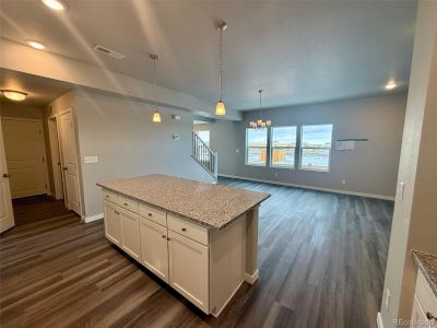 New construction Single-Family house 815 N Carrie St, Watkins, CO 80137 - image 17