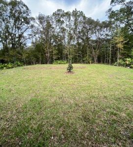 New construction Single-Family house 4950 Cedar Ford Boulevard, Hastings, FL 32145 The Phoenix- photo 3 3