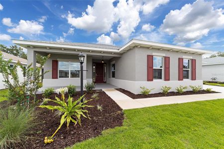 New construction Single-Family house 10405 Sw 105Th Ct, Ocala, FL 34481 - image