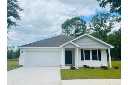 New construction Single-Family house 275 Cat Island Cir, Defuniak Springs, FL 32433 plan Roanoke - image