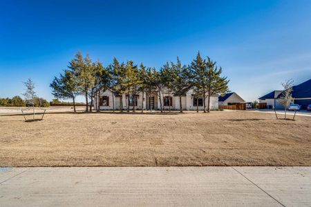 New construction Single-Family house 6010 Dos Cerros Ln, Waxahachie, TX 76065 null- photo 22 22