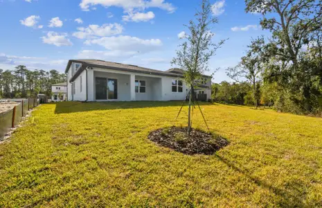 New construction Single-Family house 12620 Glenn Creek Dr, Riverview, FL 33569 Coral- photo 56 56