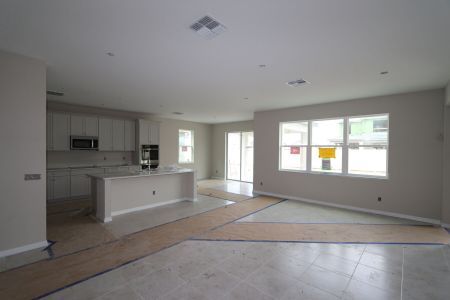 New construction Single-Family house 9489 Seagrass Port Pass, Wesley Chapel, FL 33545 Alenza- photo 37 37