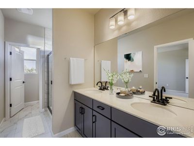 New construction Single-Family house 1826 Cord Grass Dr Ft, Fort Collins, CO 80524 - image 10