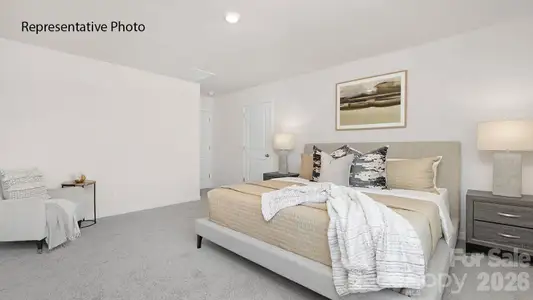 New construction Single-Family house 1038 Two Brothers Ln, York, SC 29745 plan Darwin - image