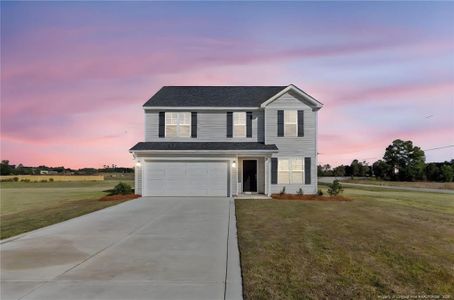 New construction Single-Family house 20 Buggy Top Ln, Autryville, NC 28318 plan Longleaf  - image