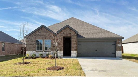 New construction Single-Family house 523 Trot Trl, Waxahachie, TX 75165 plan Texas Cali - image