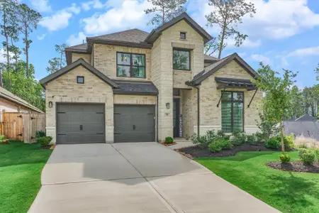 New construction Single-Family house 301 Water Tupelo Dr, Montgomery, TX 77316 - image