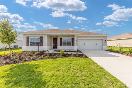 New construction Single-Family house 10693 Sw 102Nd Ln, Ocala, FL 34481 - image 2