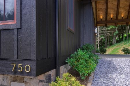 New construction Single-Family house 750 Silver Springs Dr W, Unit 43, Banner Elk, NC 28604 - image