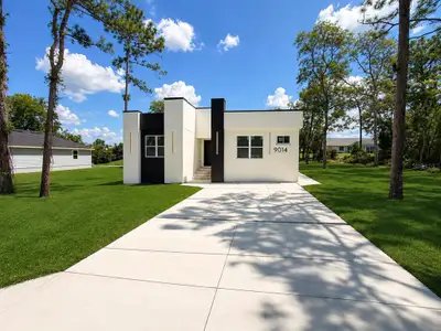 New construction Single-Family house 9014 Waterbird Wy, Brooksville, FL 34613 - image