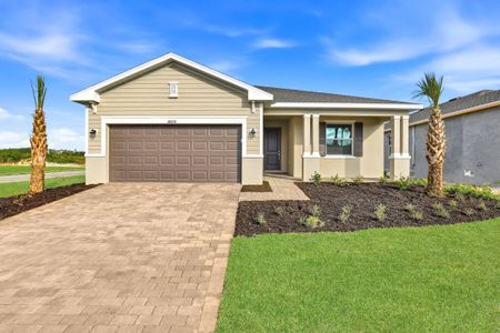 New construction Single-Family house 18696 Marlin Kite Ln, North Fort Myers, FL 33917 plan Venice - image