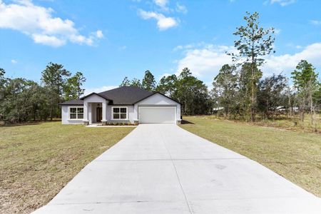 New construction Single-Family house 14183 English Sparrow Rd, Weeki Wachee, FL 34614 null- photo 0