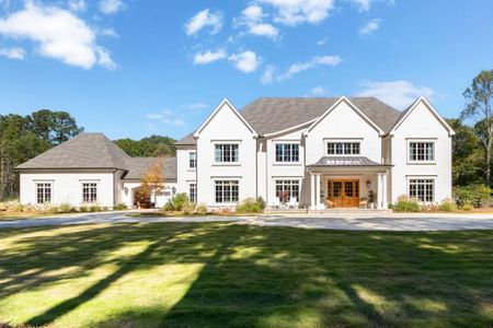 New construction Single-Family house 397 Owens Store Rd, Canton, GA 30115 - image