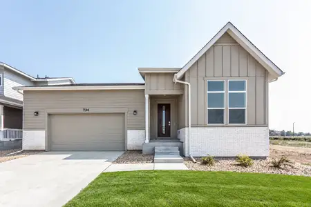 New construction Single-Family house 734 Trumpet Ct, Windsor, CO 80550 plan Morrison - image