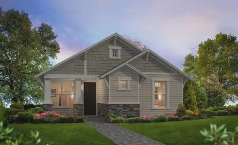 New construction Single-Family house 3616 Berry Briar Dr, Wesley Chapel, FL 33543 plan Lily - image