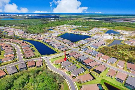 New construction Single-Family house 5510 Panella Ct, Palmetto, FL 34221 null- photo 6 6