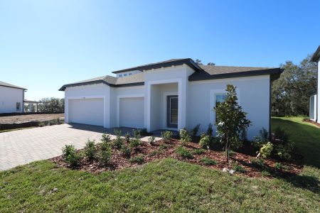 New construction Single-Family house 9603 Crescent Ray Dr, Wesley Chapel, FL 33545 Barcello Bonus- photo 82 82