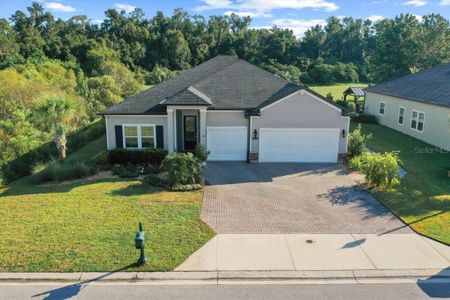 New construction Single-Family house 1215 Se 42Nd Rd, Ocala, FL 34480 - image