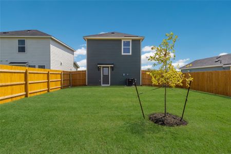 New construction Single-Family house 175 Safflower Dr, Uhland, TX 78640 plan The Lilly - image