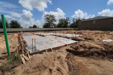 New construction Single-Family house 12176 Hilltop Farms Dr, Dade City, FL 33525 Malibu- photo 5 5