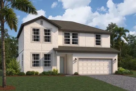 New construction Single-Family house Zephyrhills, FL 33540 plan Salinas - image