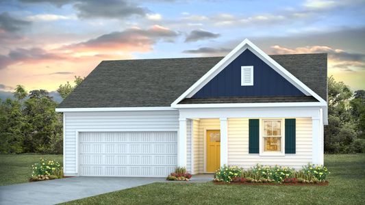 New construction Single-Family house 6456 Zoysia Wy, Castle Hayne, NC 28429 plan CALI - image