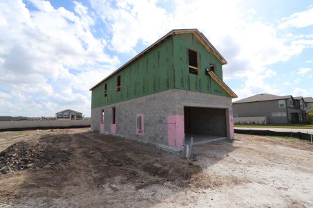 New construction Single-Family house 3070 Adams Cross Dr, Zephyrhills, FL 33540 Castellana- photo 31 31