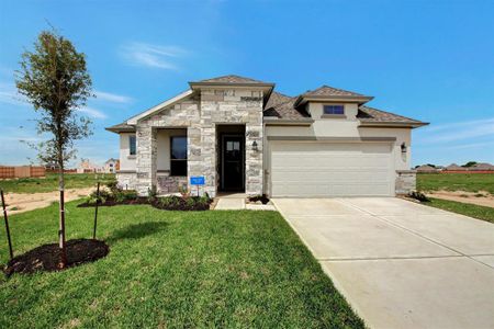 Sunterra 40' & 50' by Tricoast Homes in Katy - photo 13 13