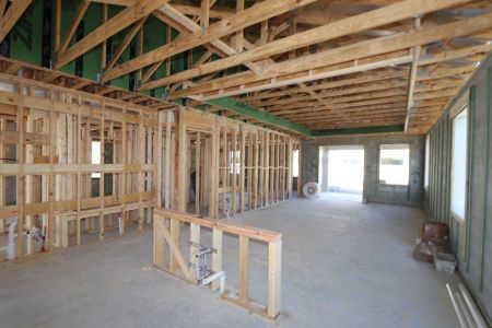 New construction Single-Family house 38413 Pindos Dr, Dade City, FL 33525 Picasso Bonus- photo 16 16