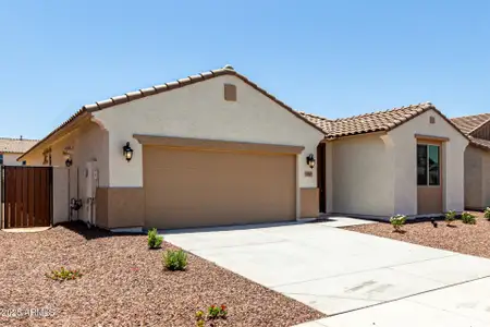 New construction Single-Family house 17547 W Lupine Ave, Goodyear, AZ 85338 plan Citrus - image