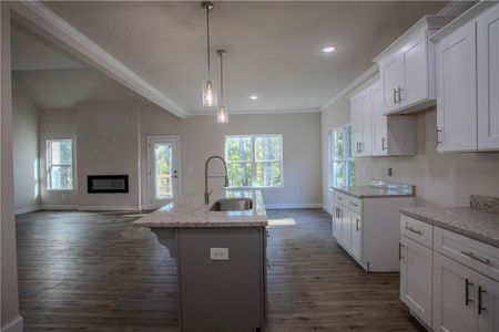 New construction Single-Family house 30 Daisy Lane, Villa Rica, GA 30180 - photo 38 38